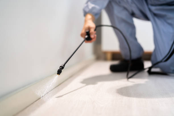Bed Bug Pre-Treatment Preparation Assessment in Six Mile Run