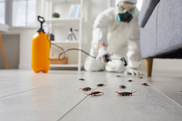 Post-Treatment Bed Bug Interceptor Monitoring in Six Mile Run