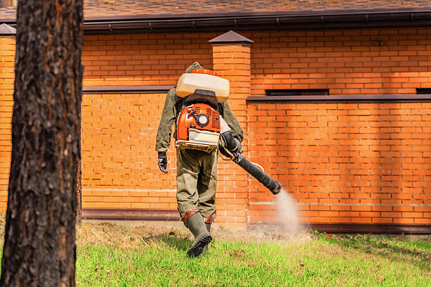 Bed Bug Clearance Verification and Documentation in Six Mile Run